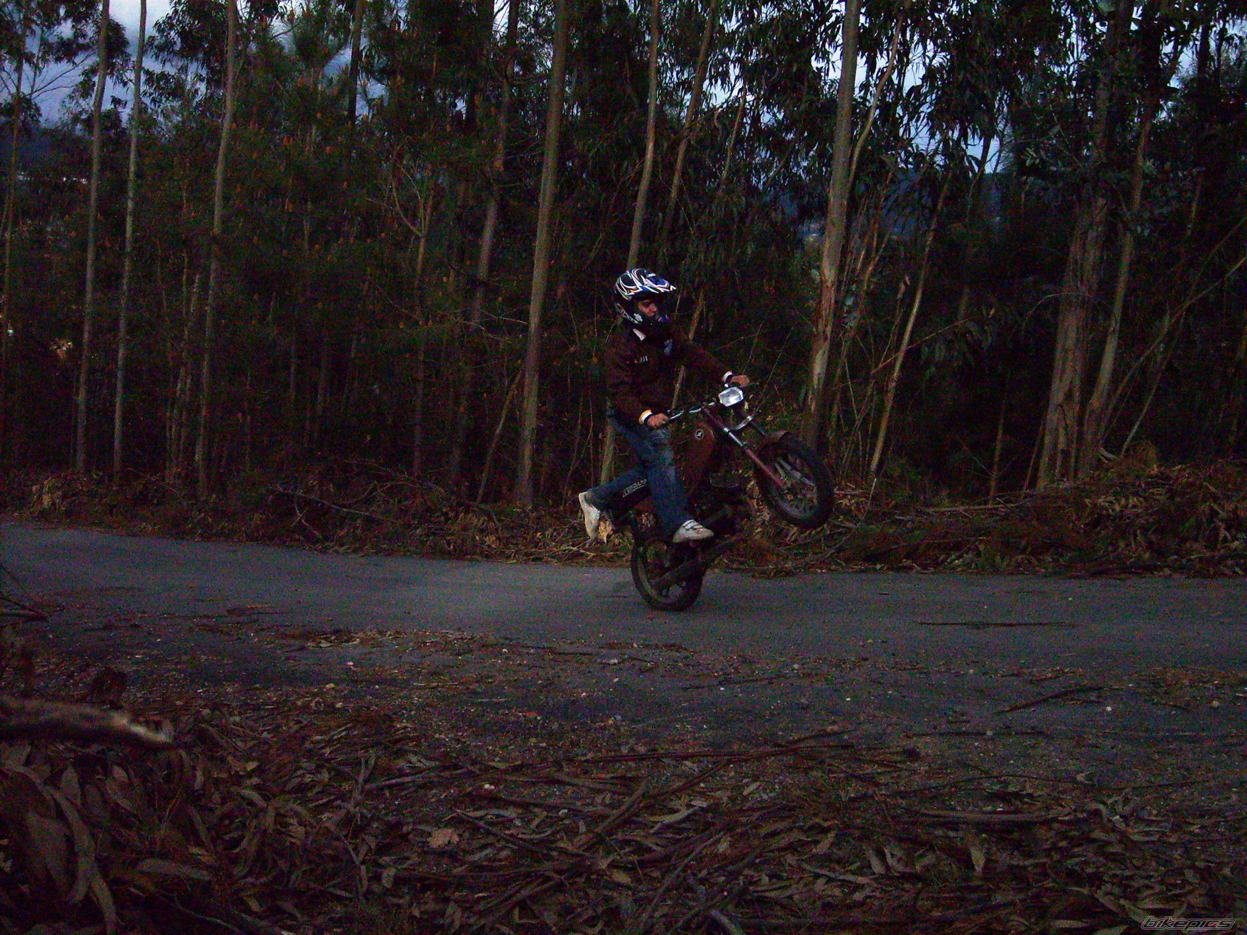 Photo 1245469