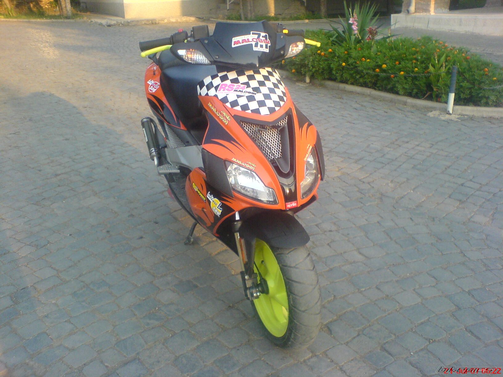 Photo 1245484