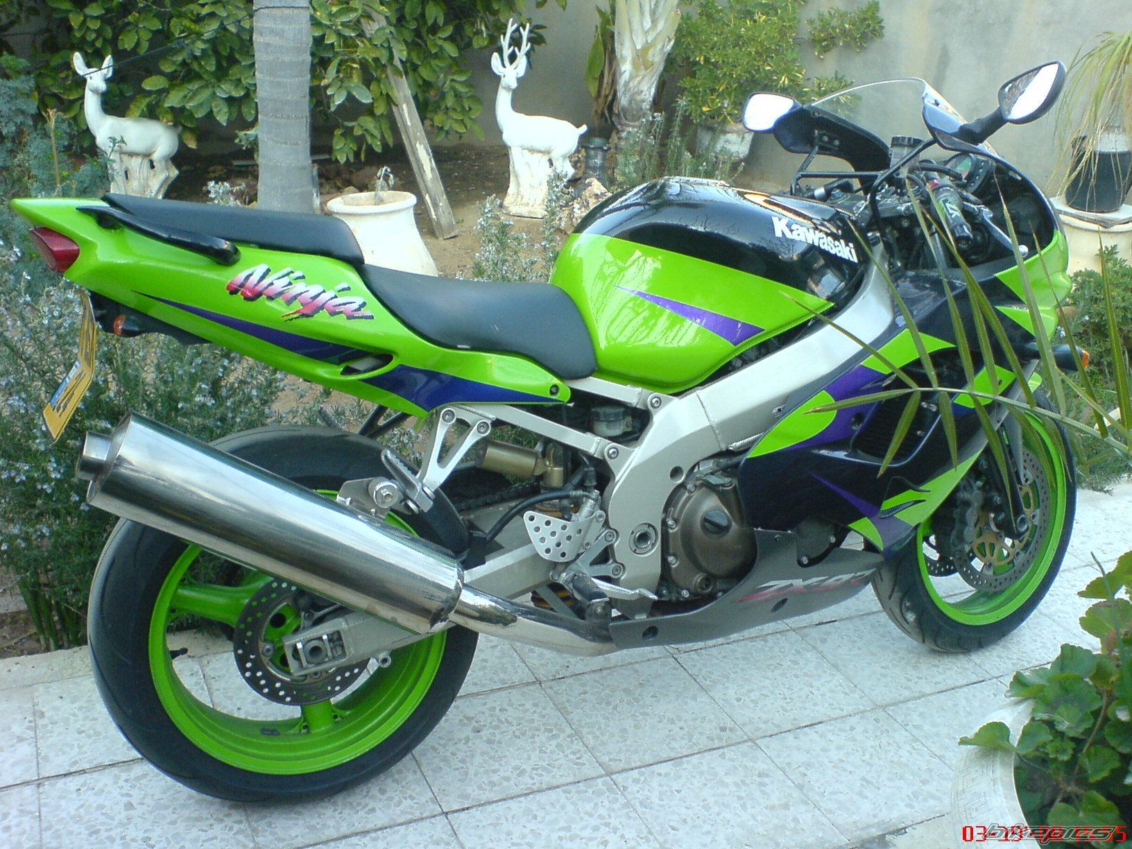 Photo 1245713