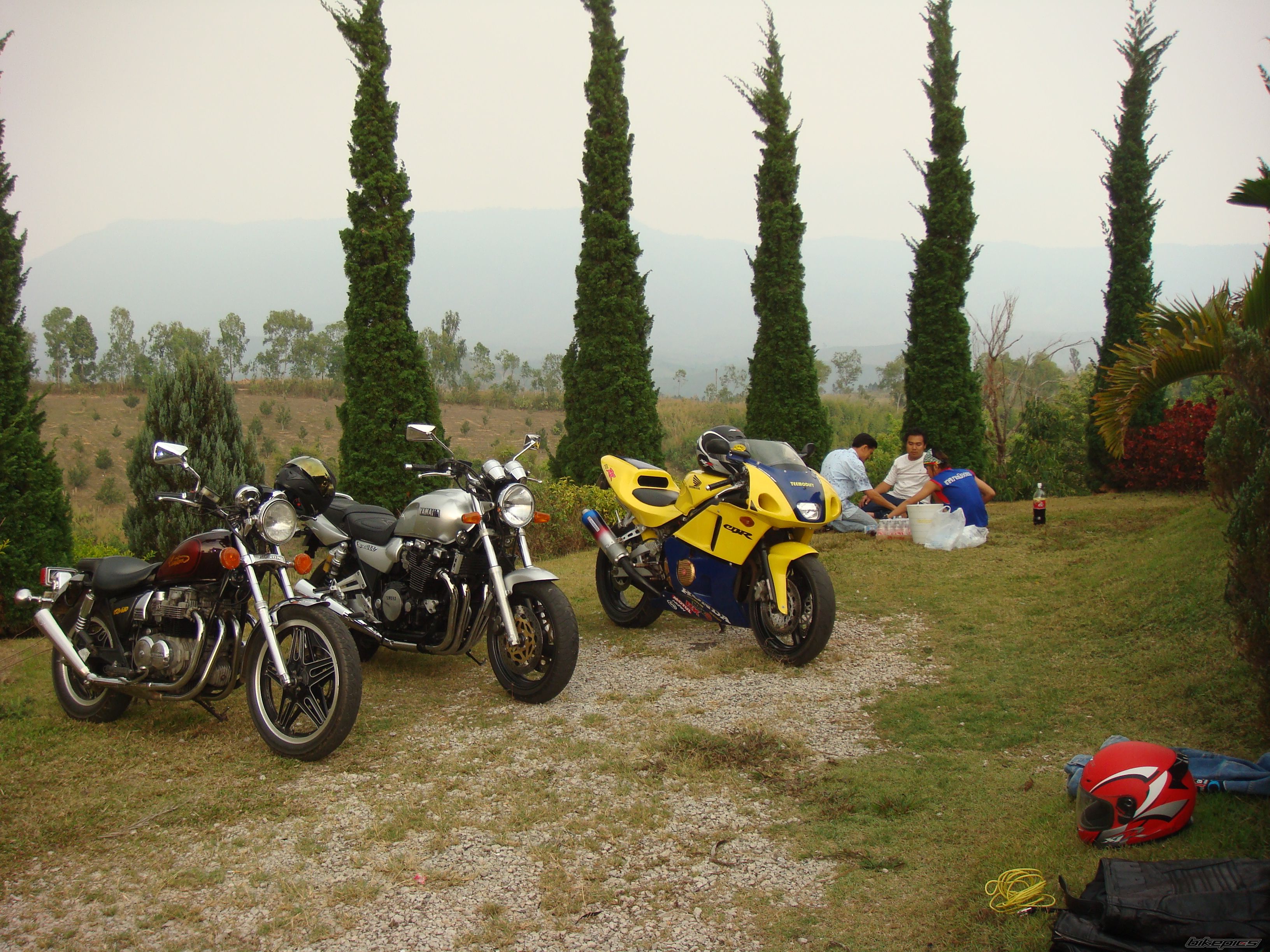 Photo 1245735