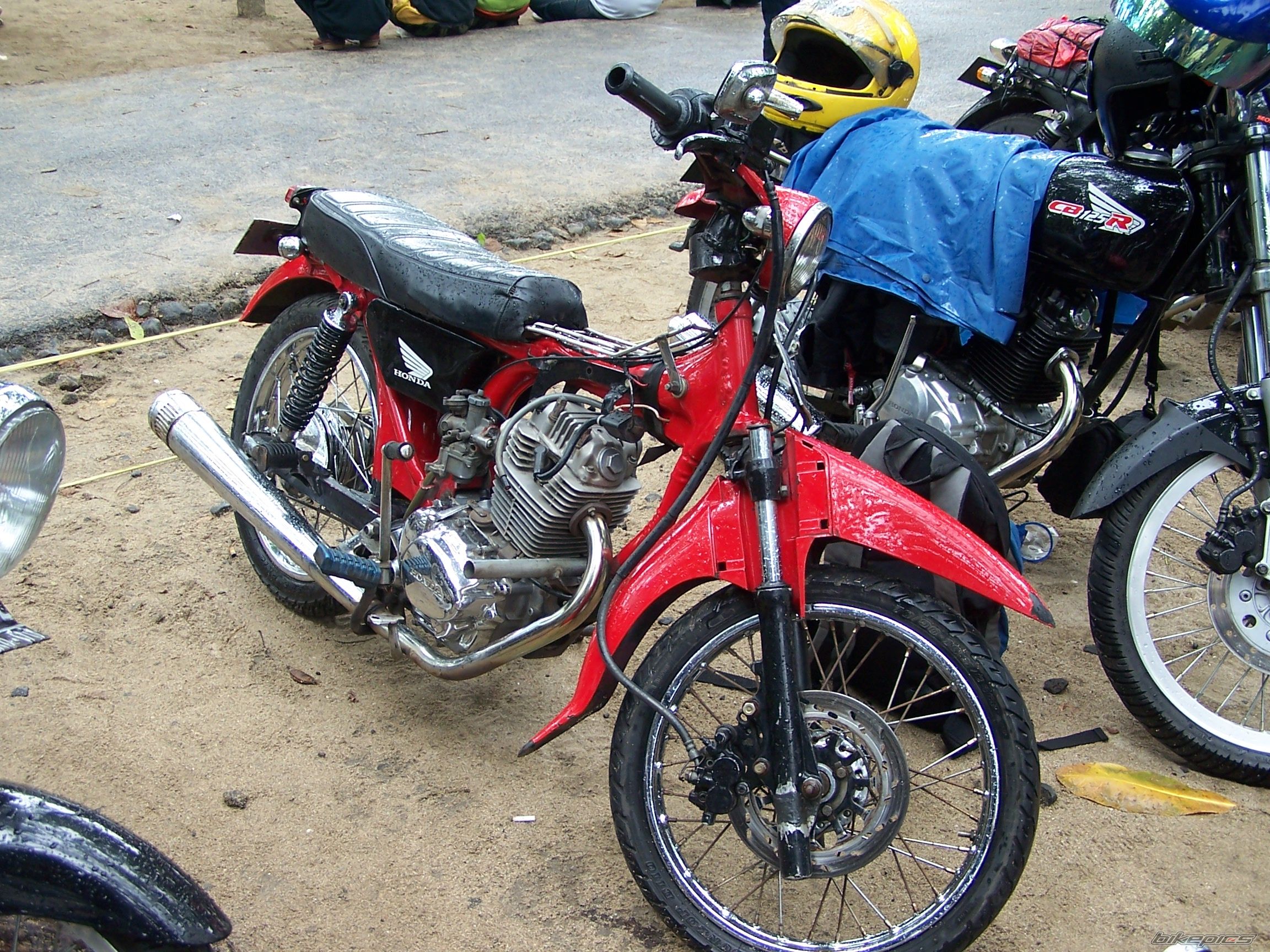 Photo 1245791