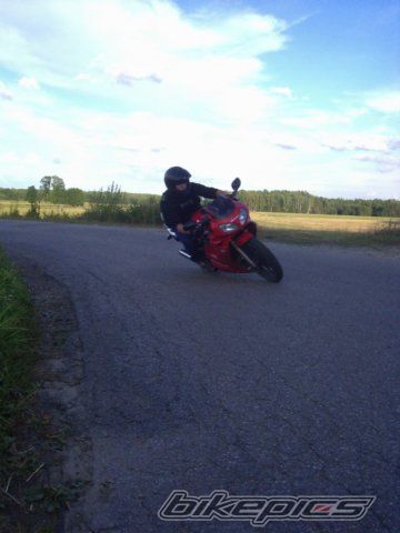Photo 1245810