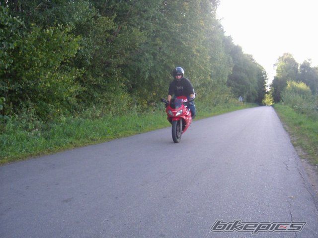Photo 1245812