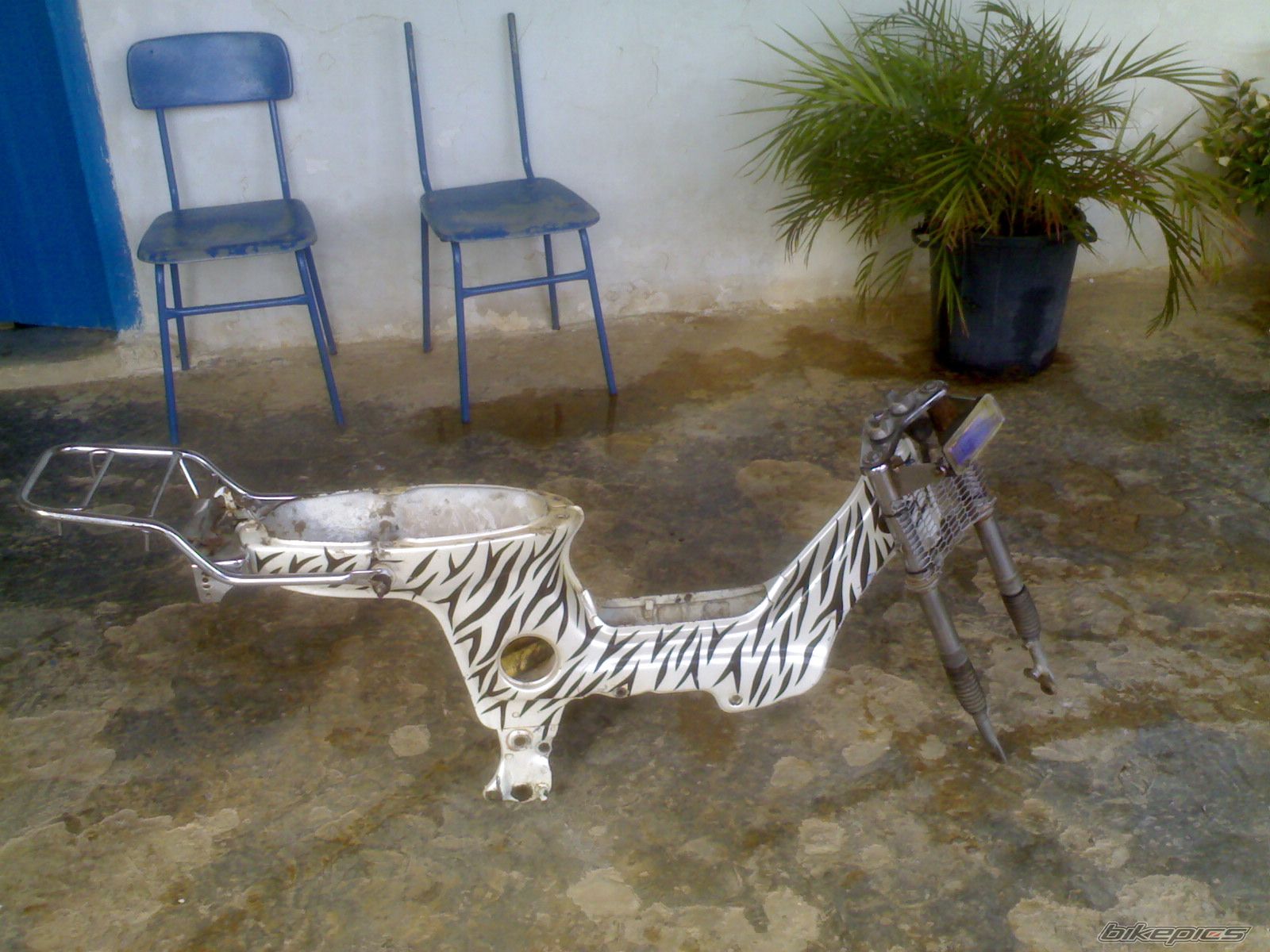 Photo 1245837