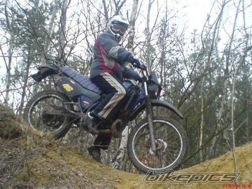 Photo 1245843
