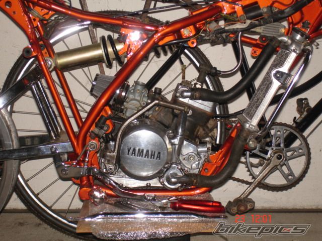 Photo 1245880