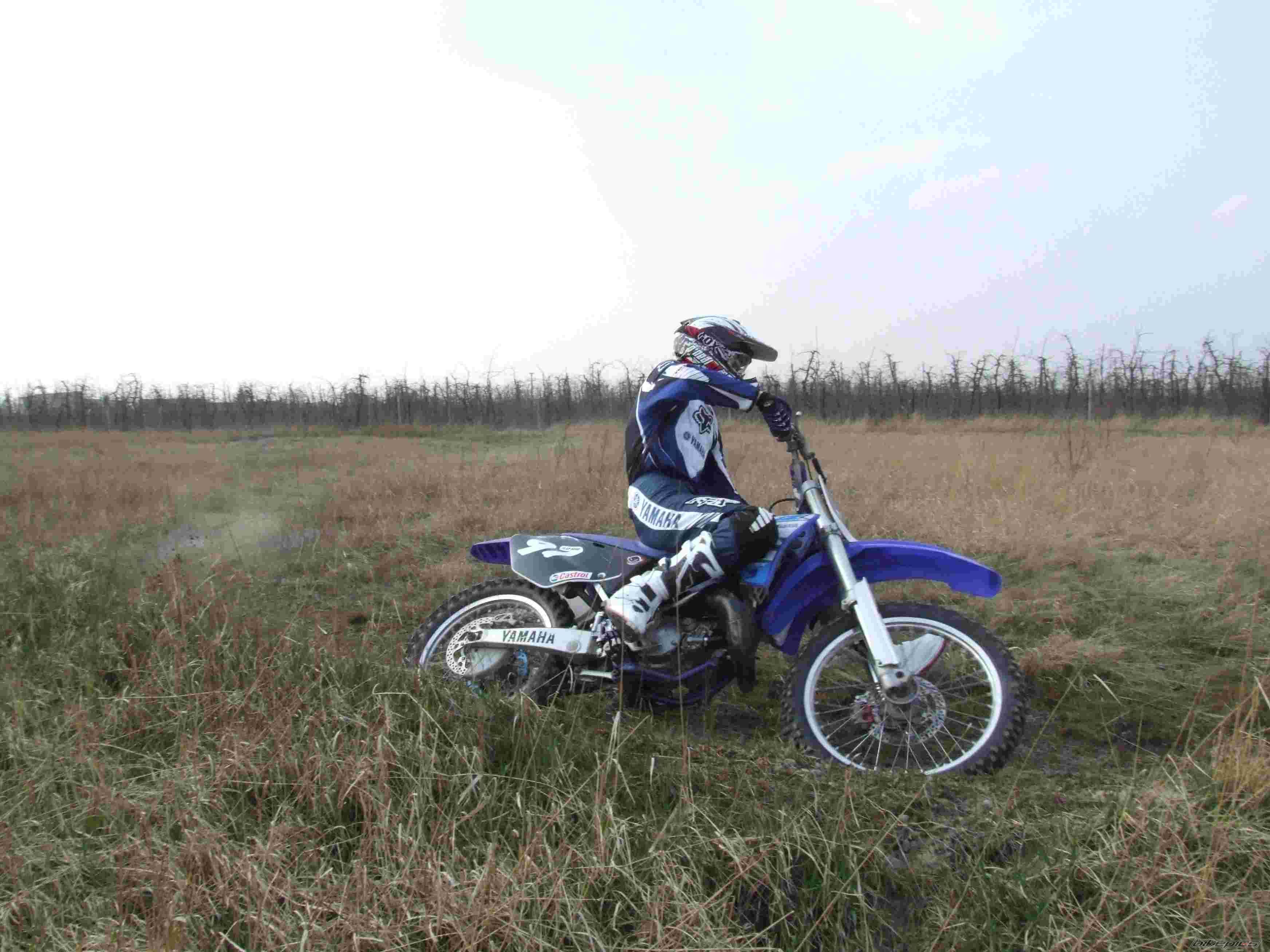 Photo 1245889