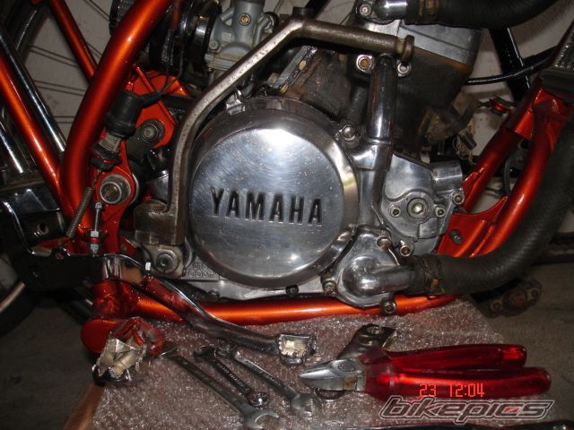 Photo 1245907