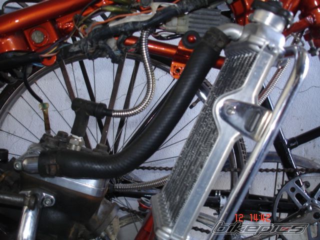 Photo 1245908