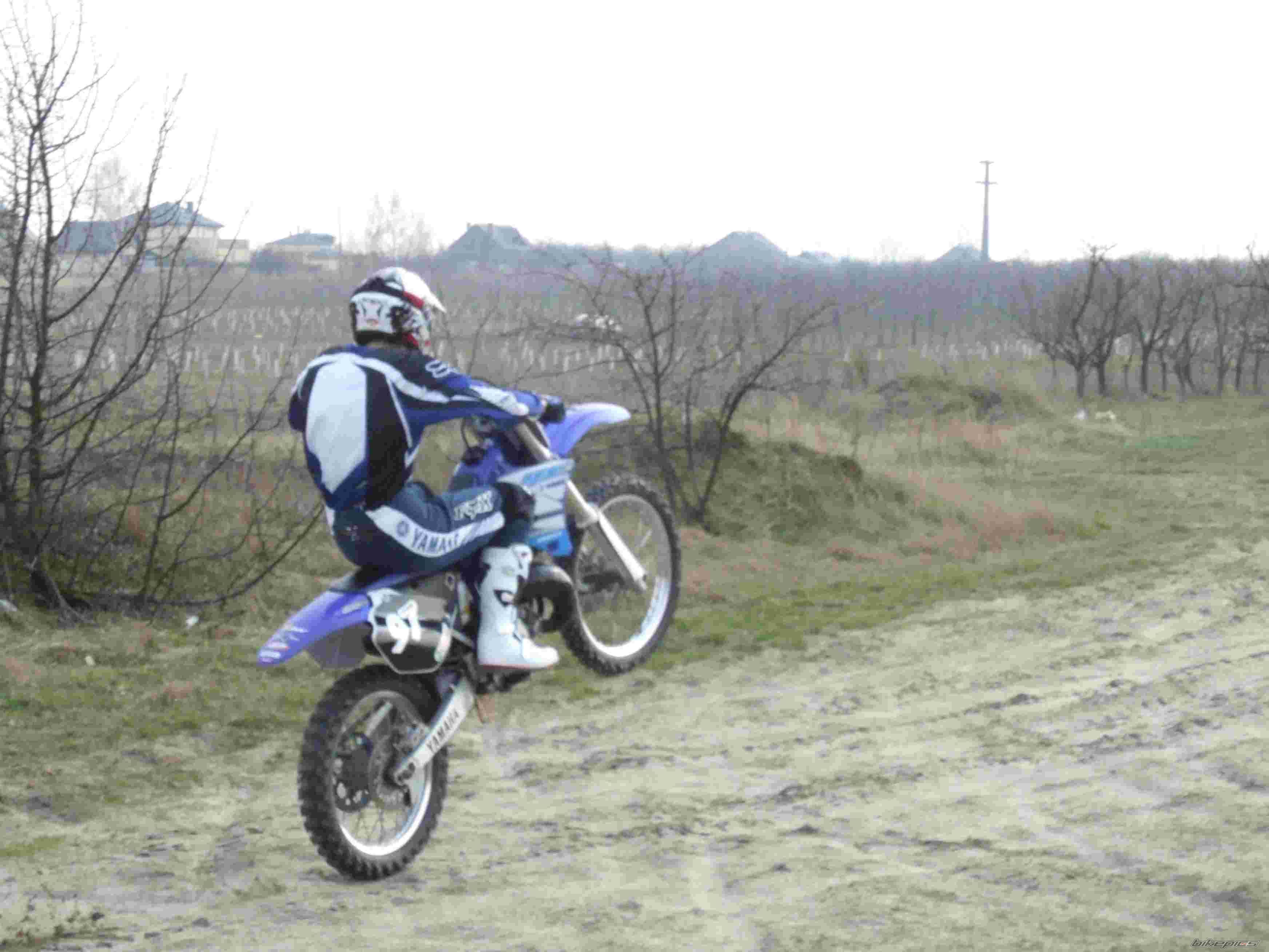 Photo 1245929