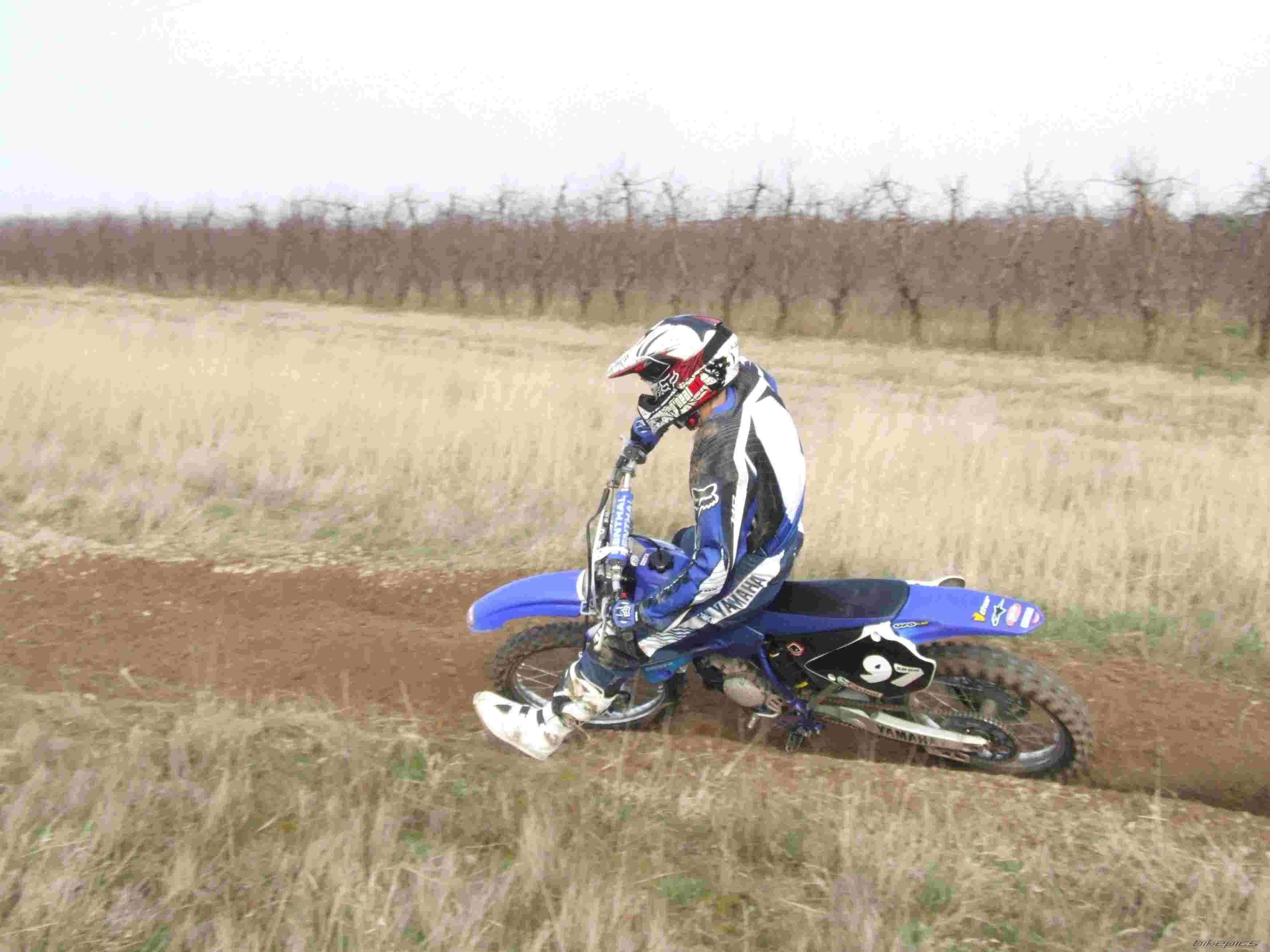 Photo 1245941