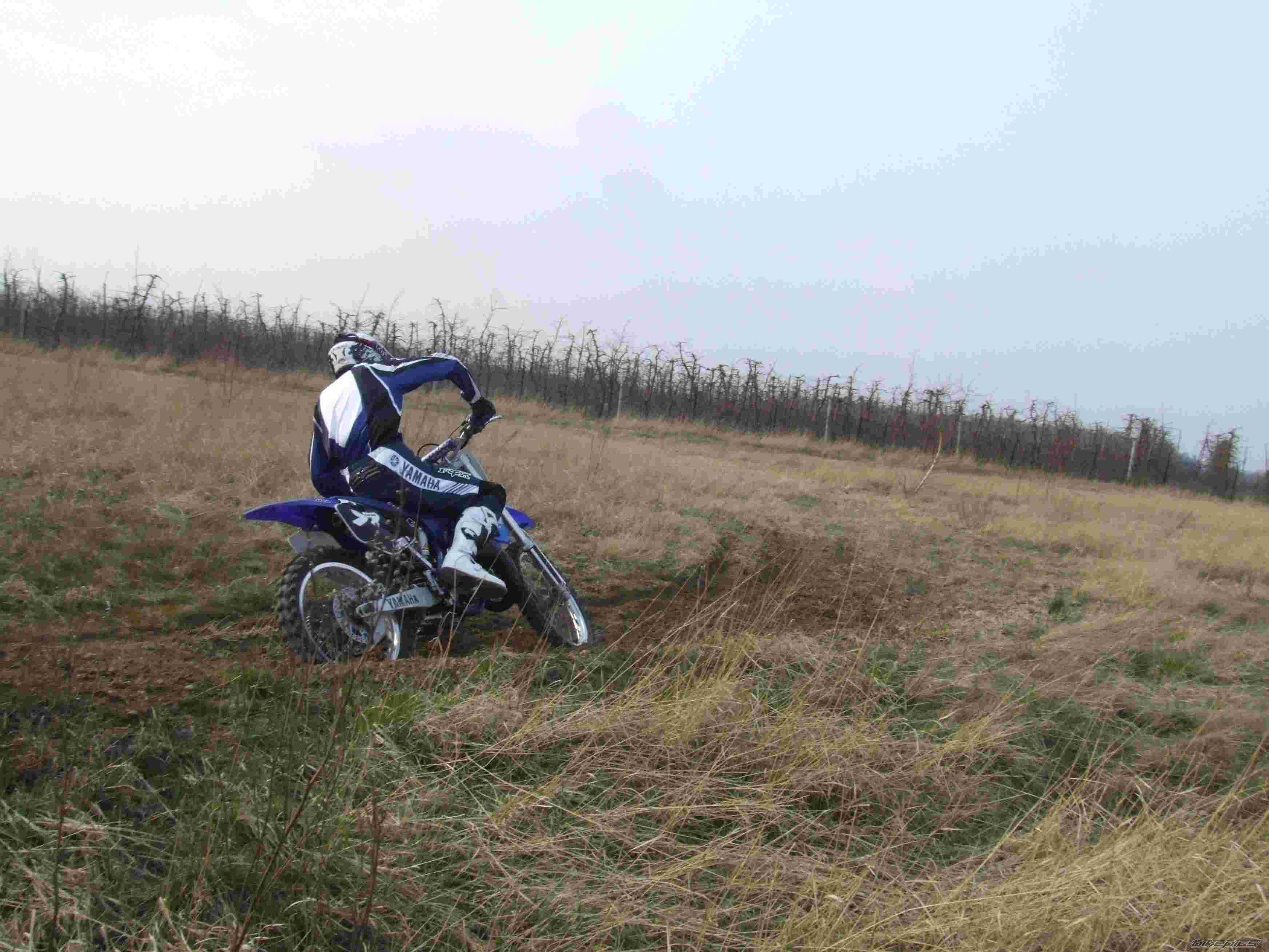 Photo 1245943