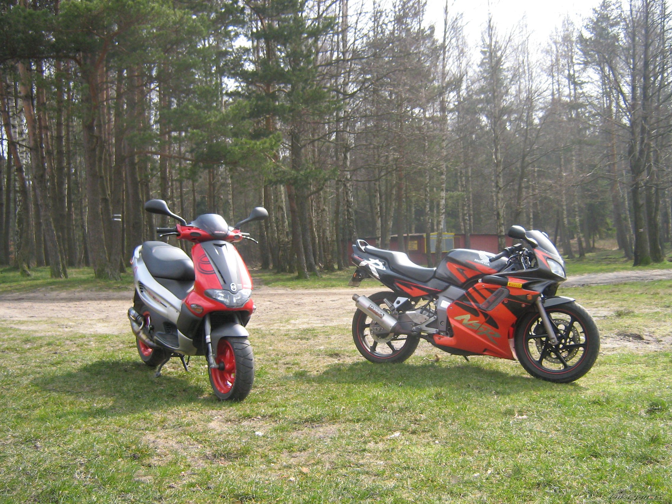 Photo 1245946