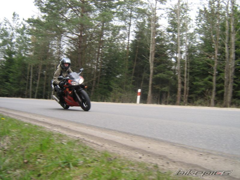 Photo 1245971