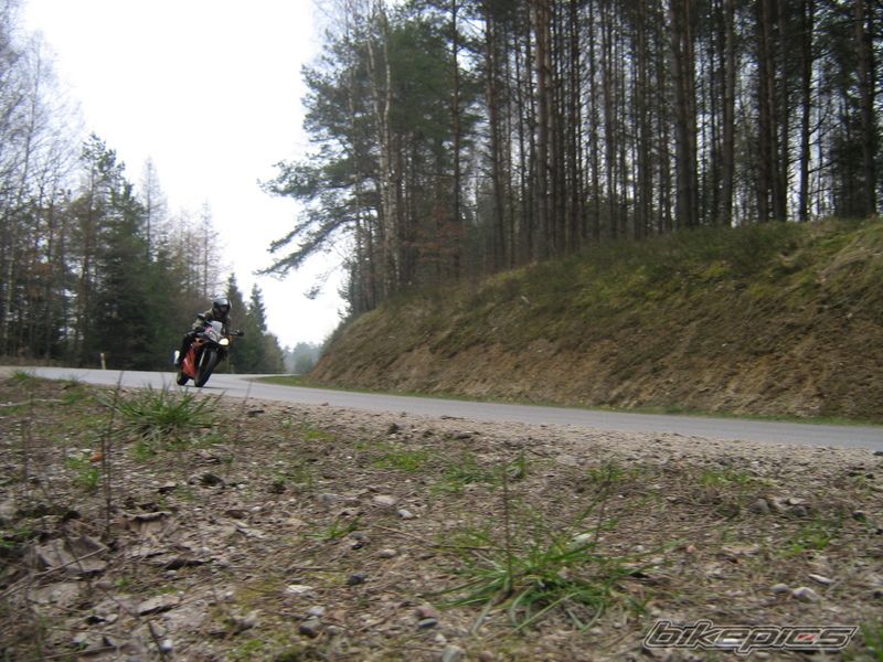 Photo 1245973