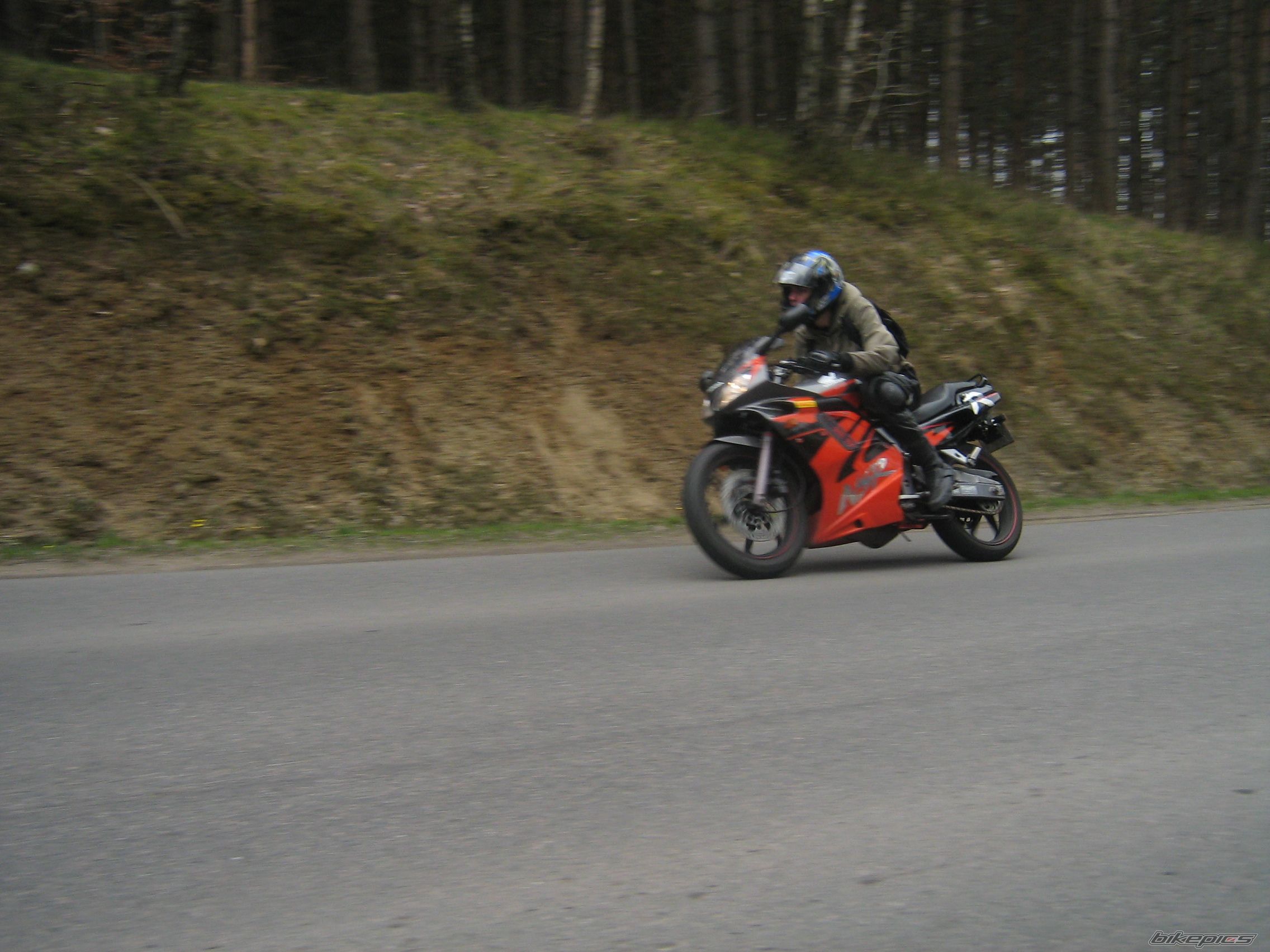 Photo 1245975
