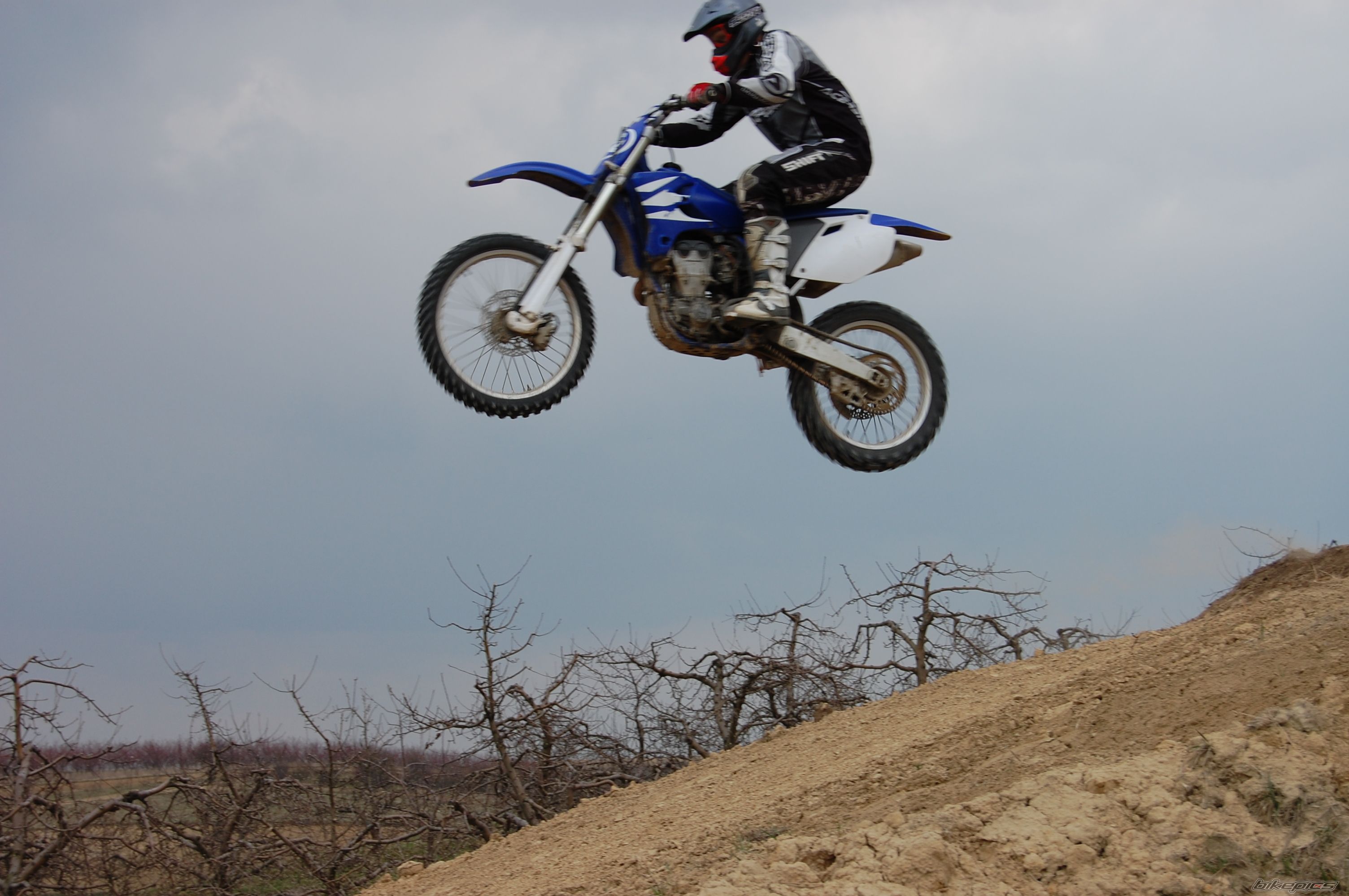 Photo 1245977