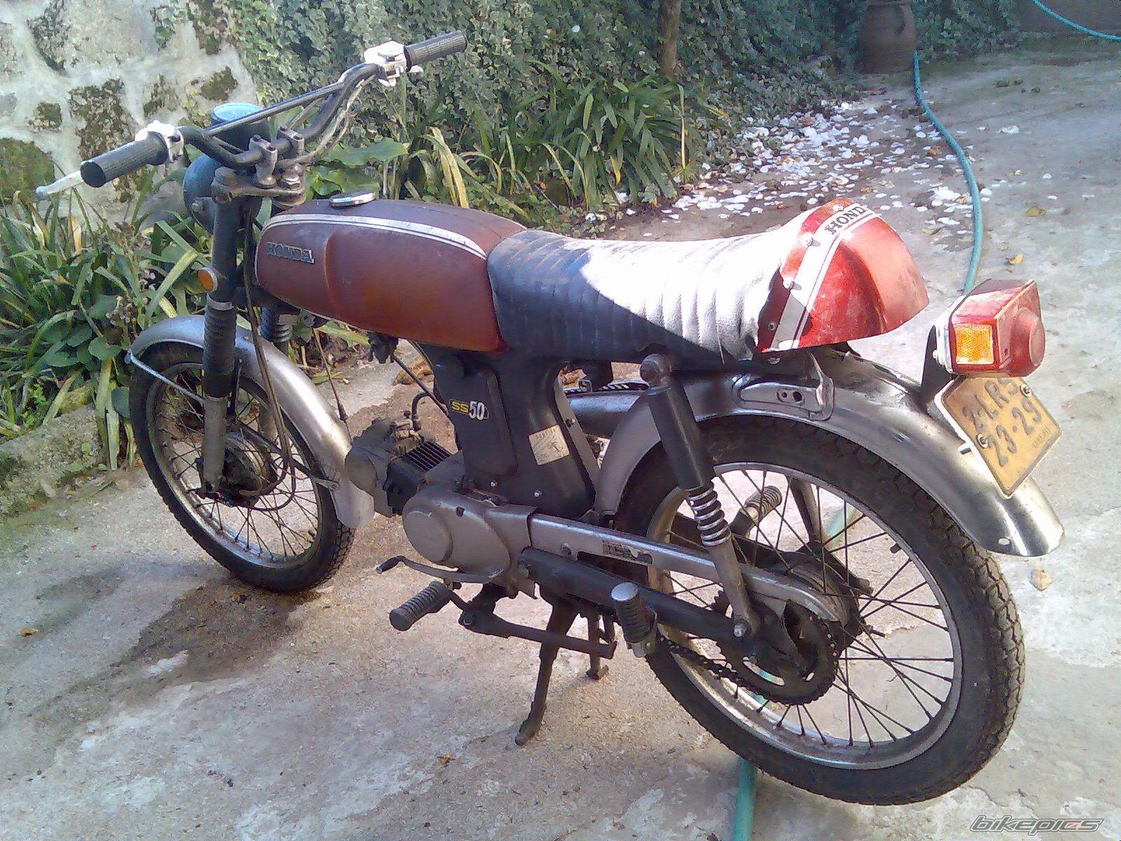 Photo 1246022