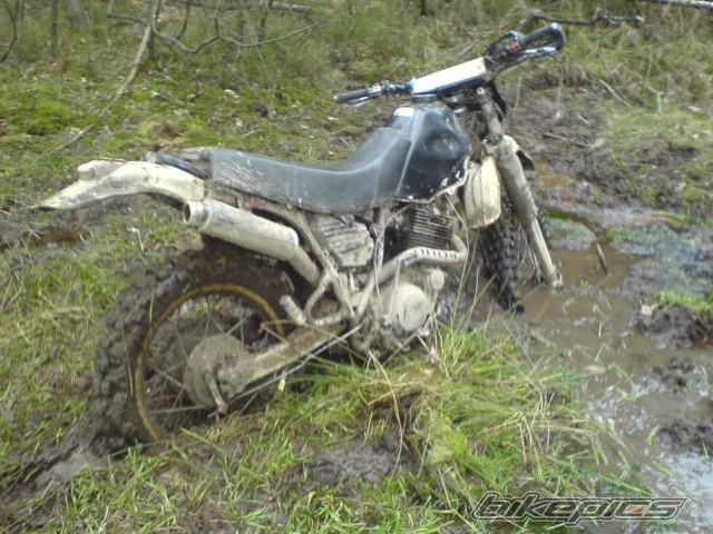Bike Photo 1246031