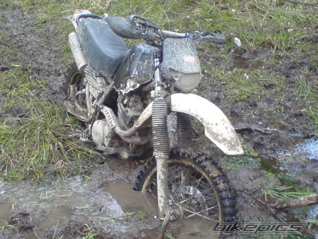 Bike Photo 1246039
