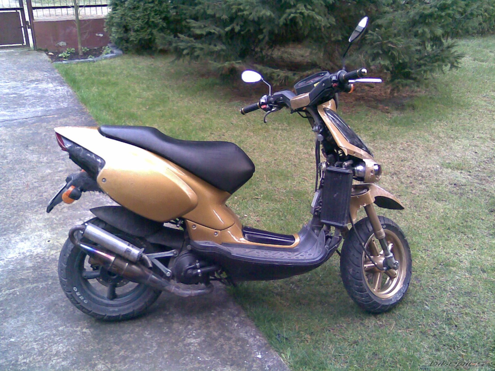 Photo 1246074