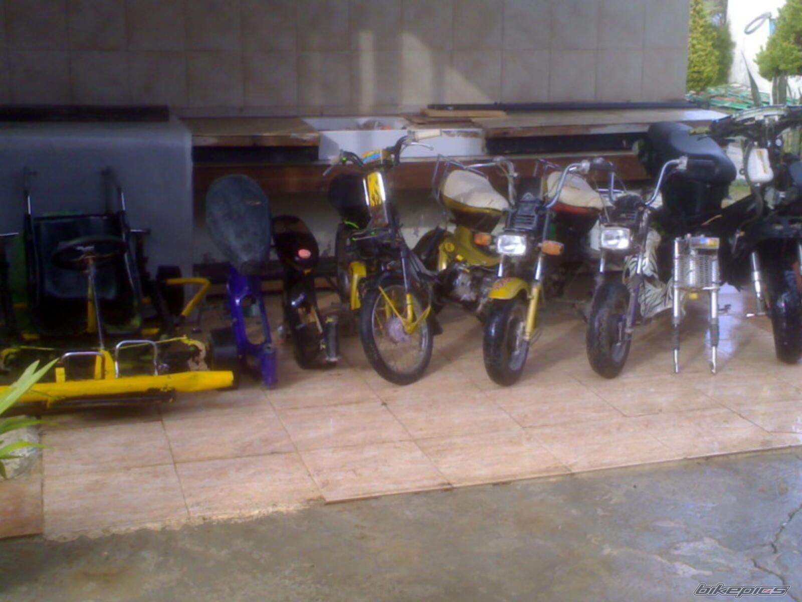 Photo 1246078