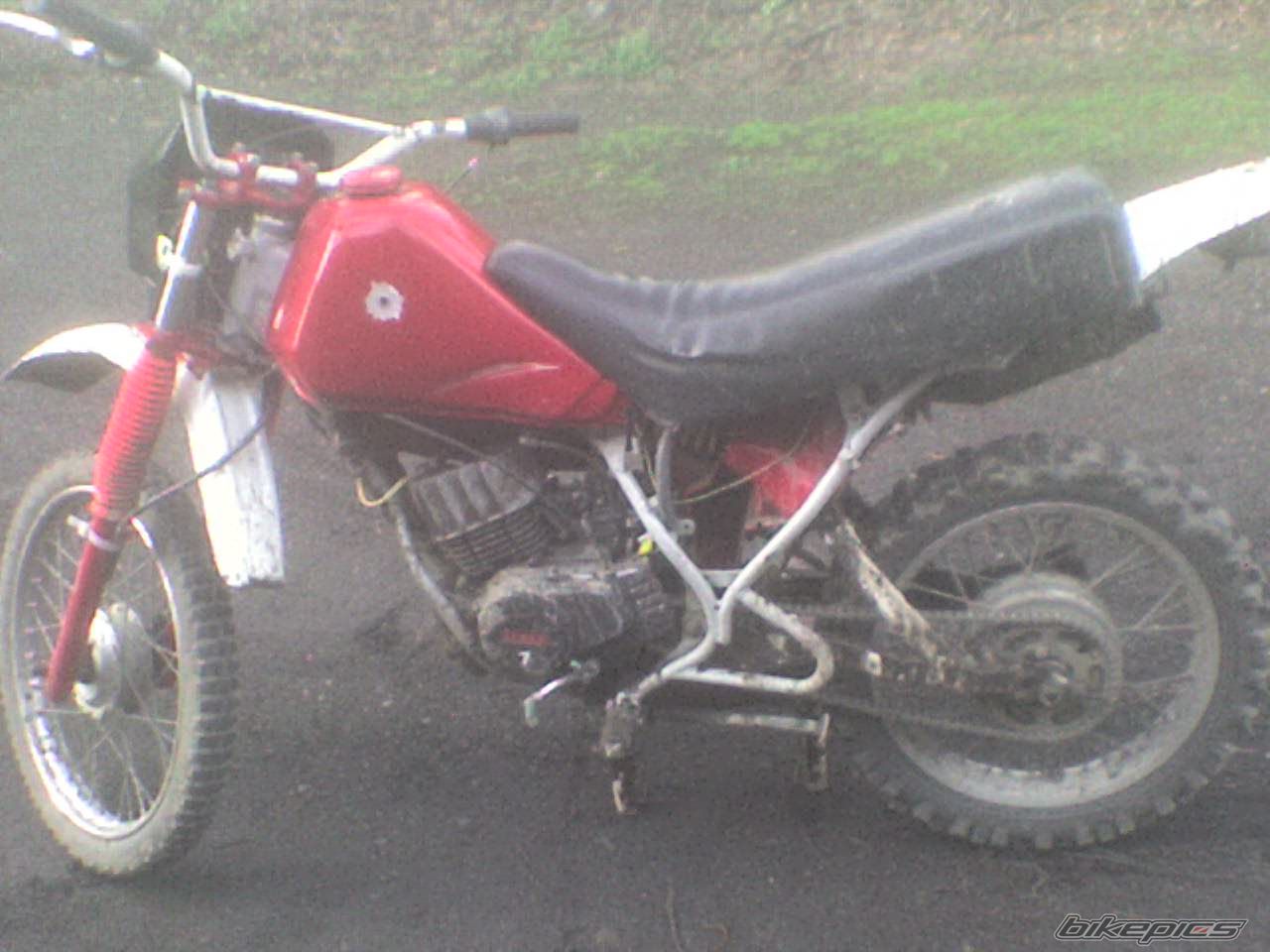Bike Photo 1246135