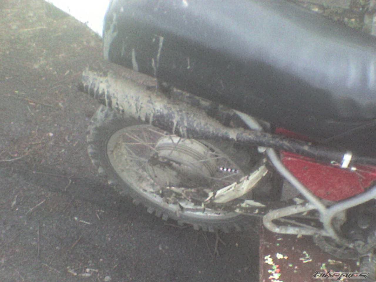 Bike Photo 1246139