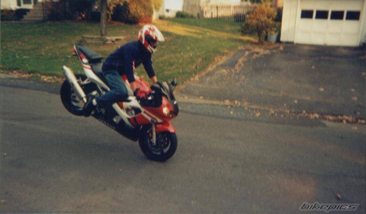 Photo 12462