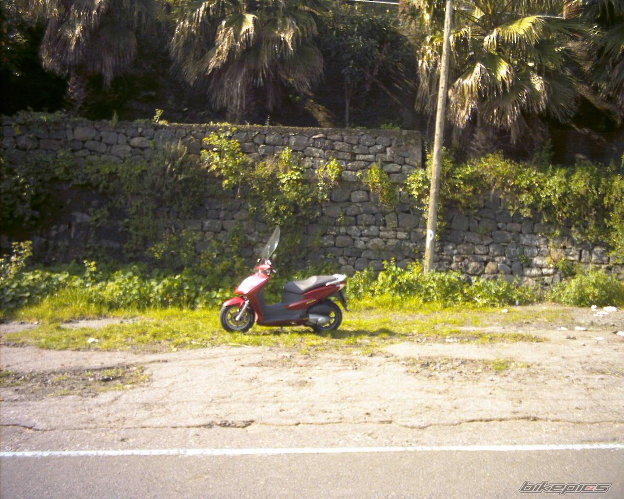 Photo 124620