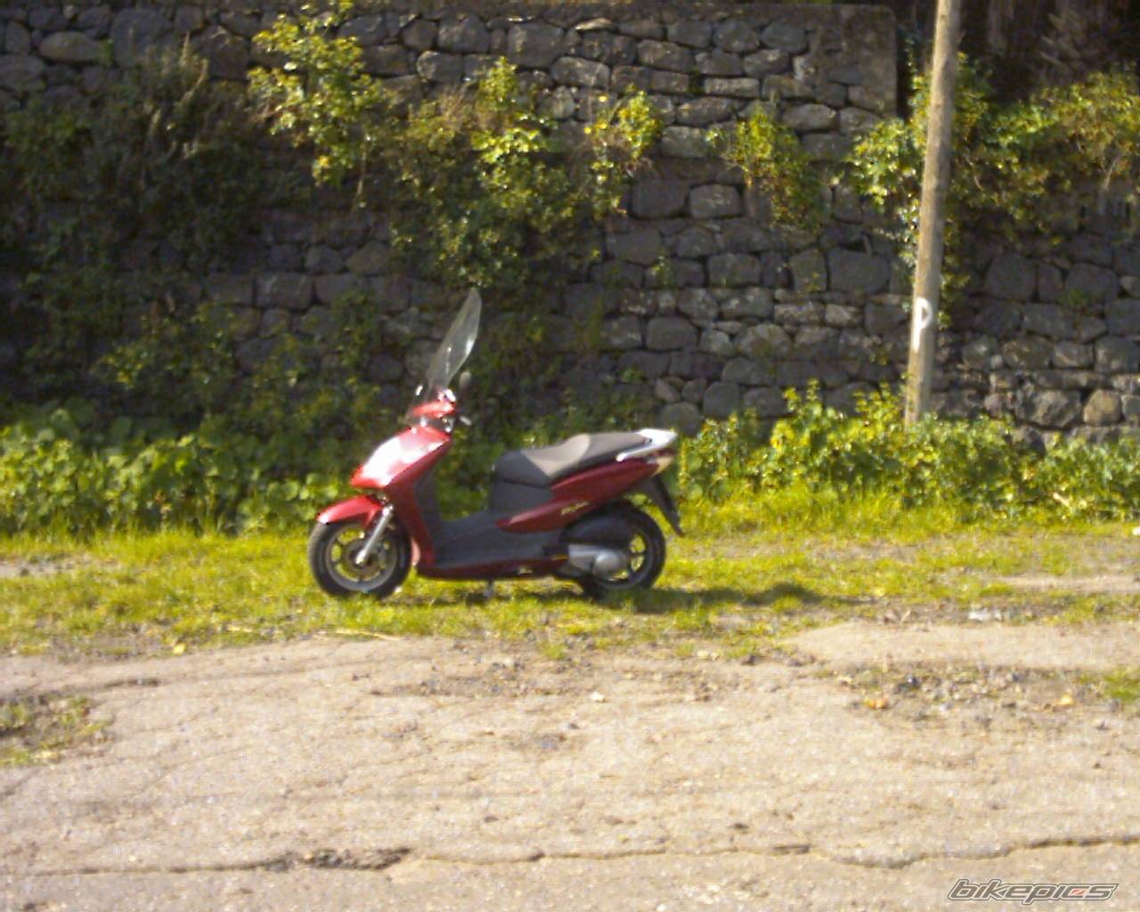 Photo 124621