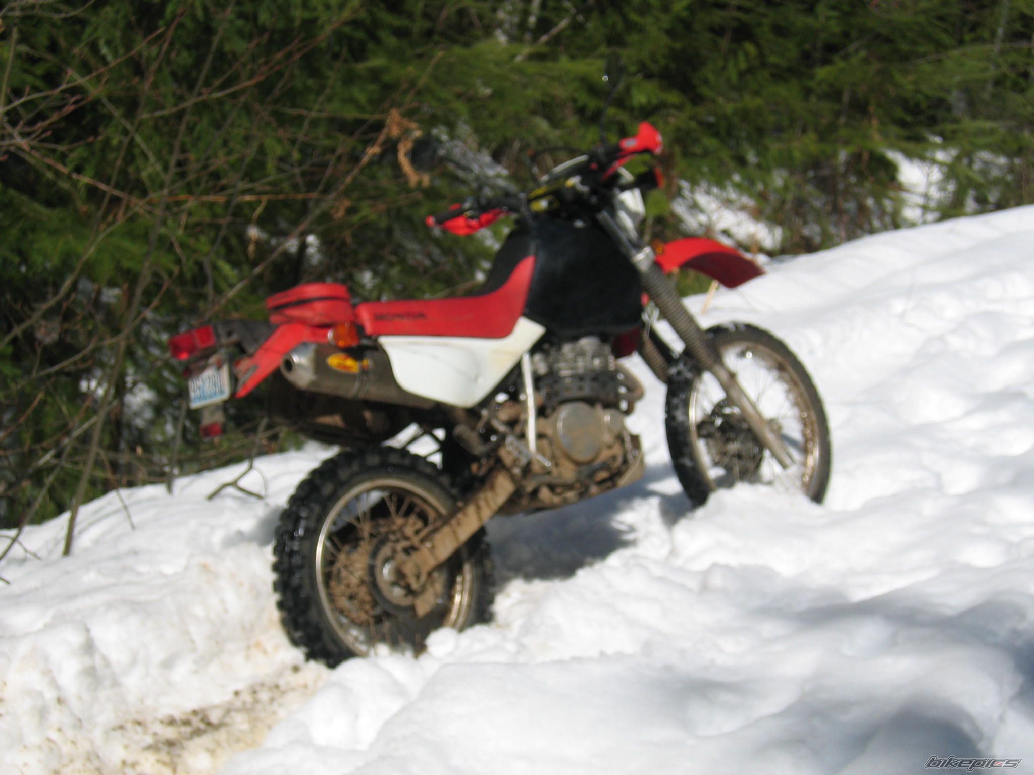 Photo 1246210