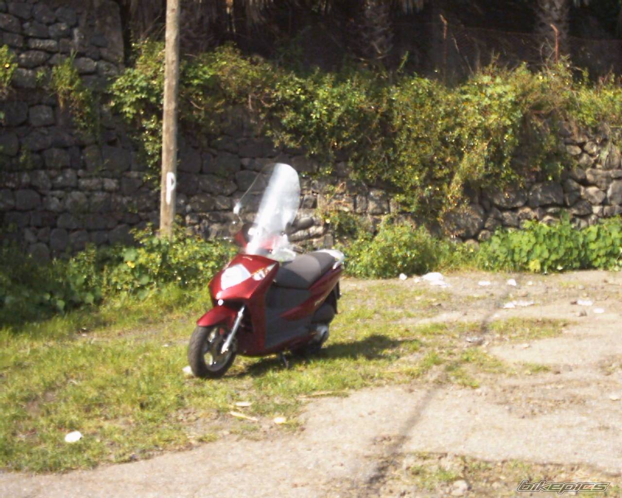 Photo 124622