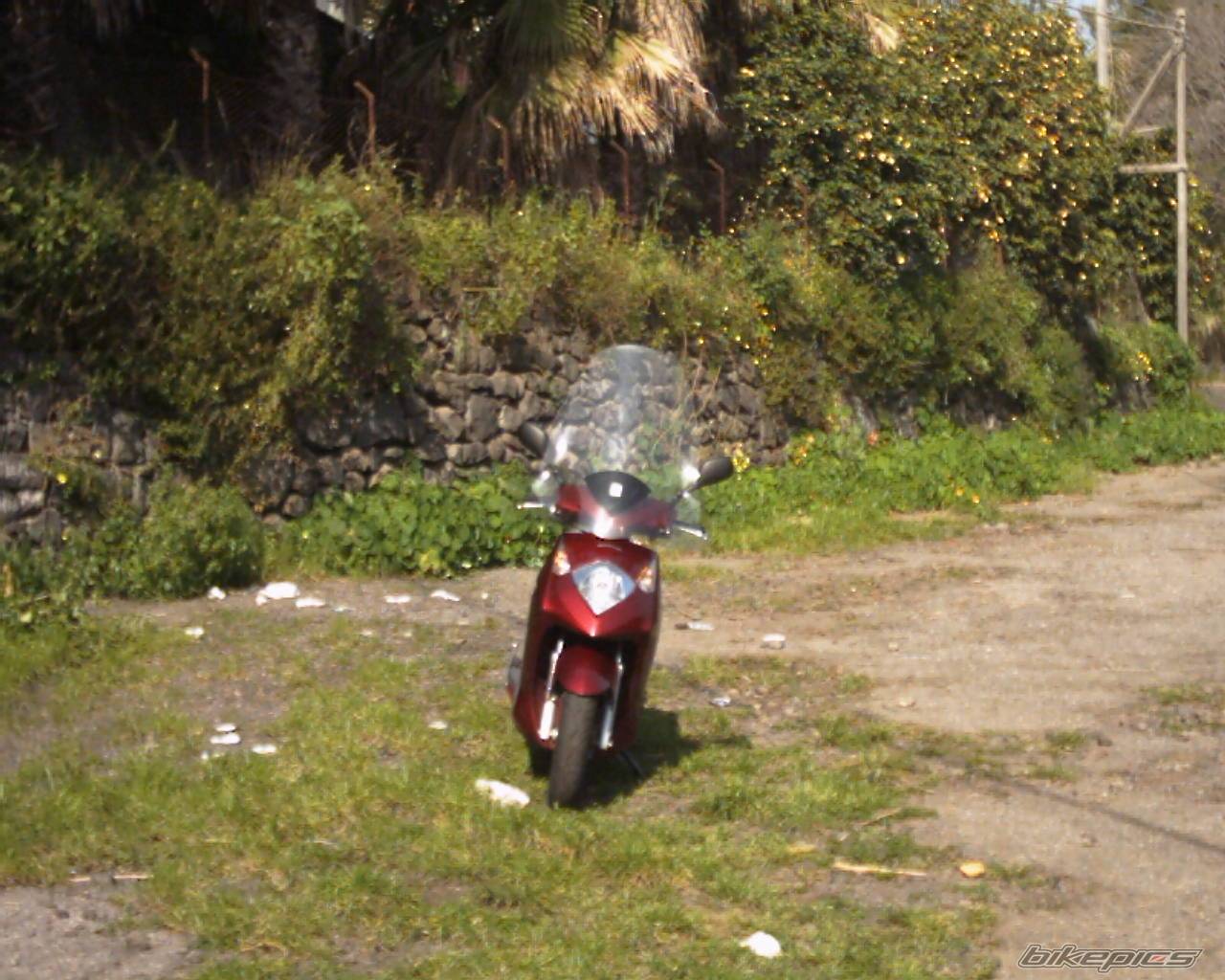 Photo 124623