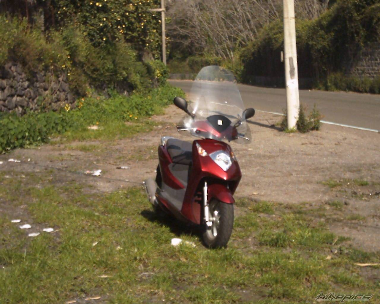 Photo 124624