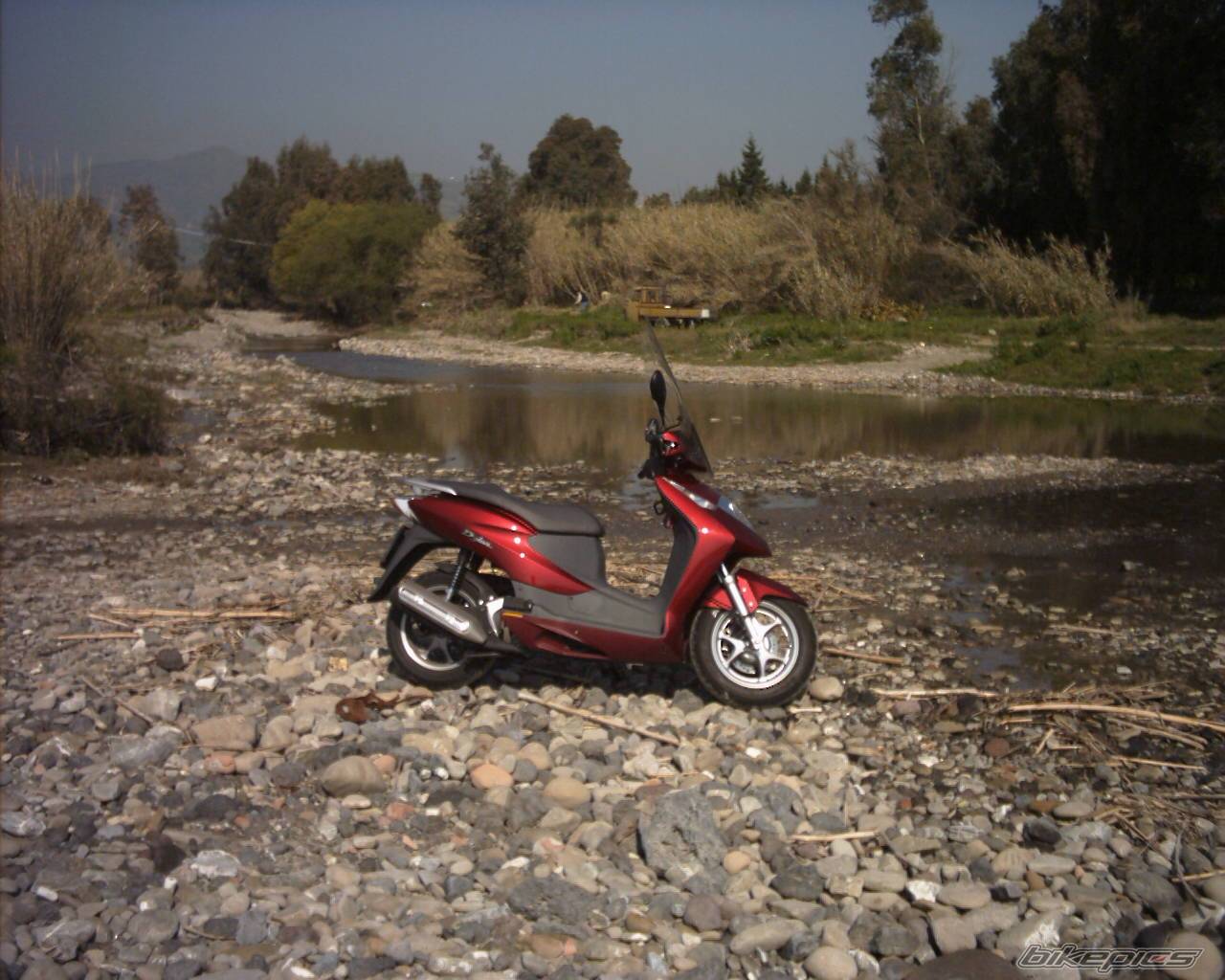 Photo 124627