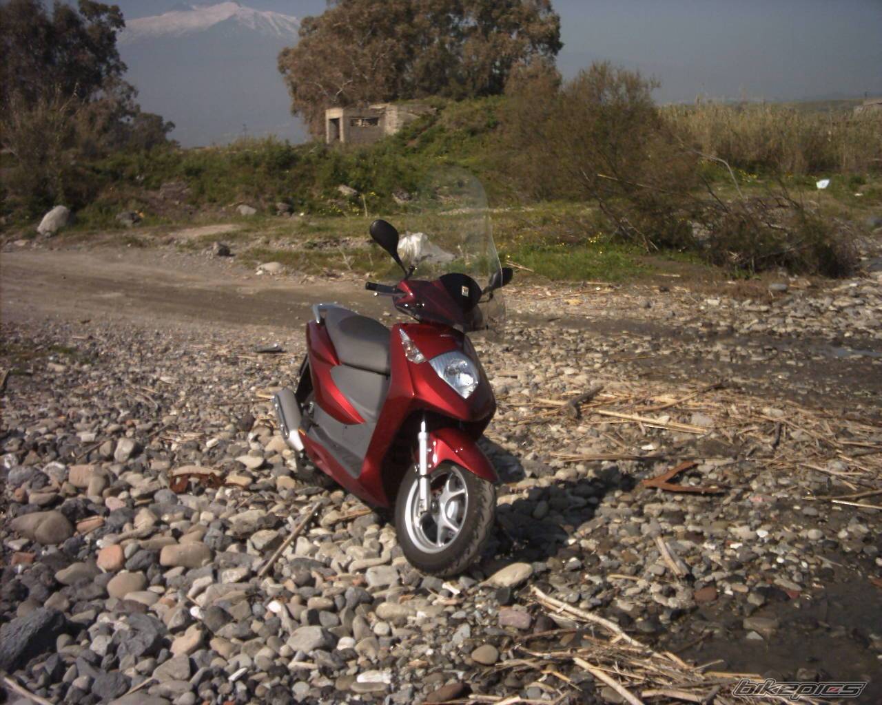 Photo 124628