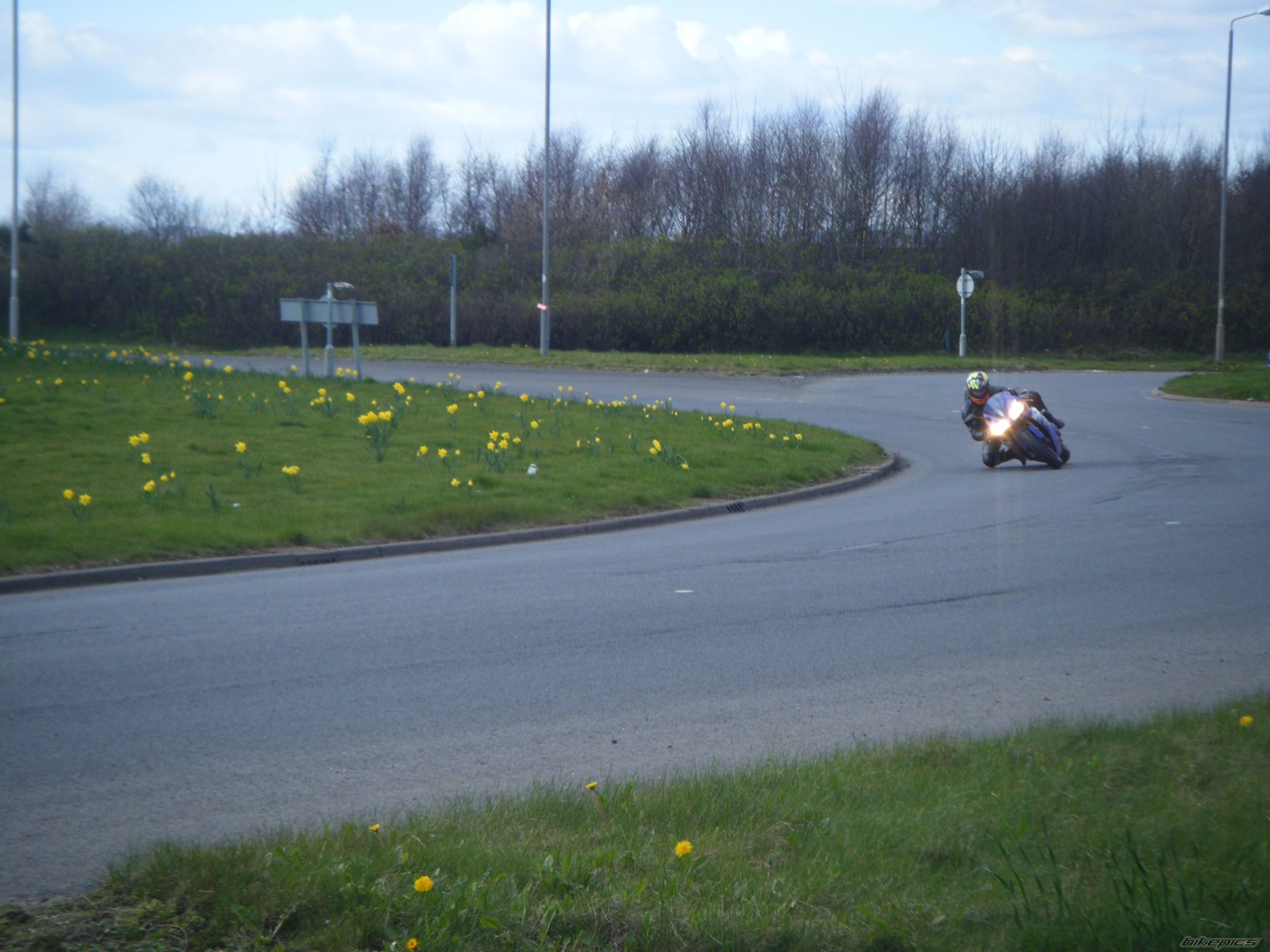 Photo 1246291