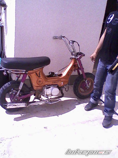 Photo 1246304