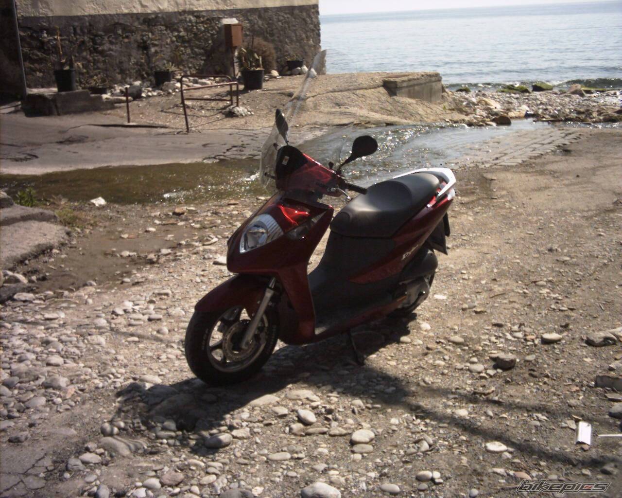 Photo 124631