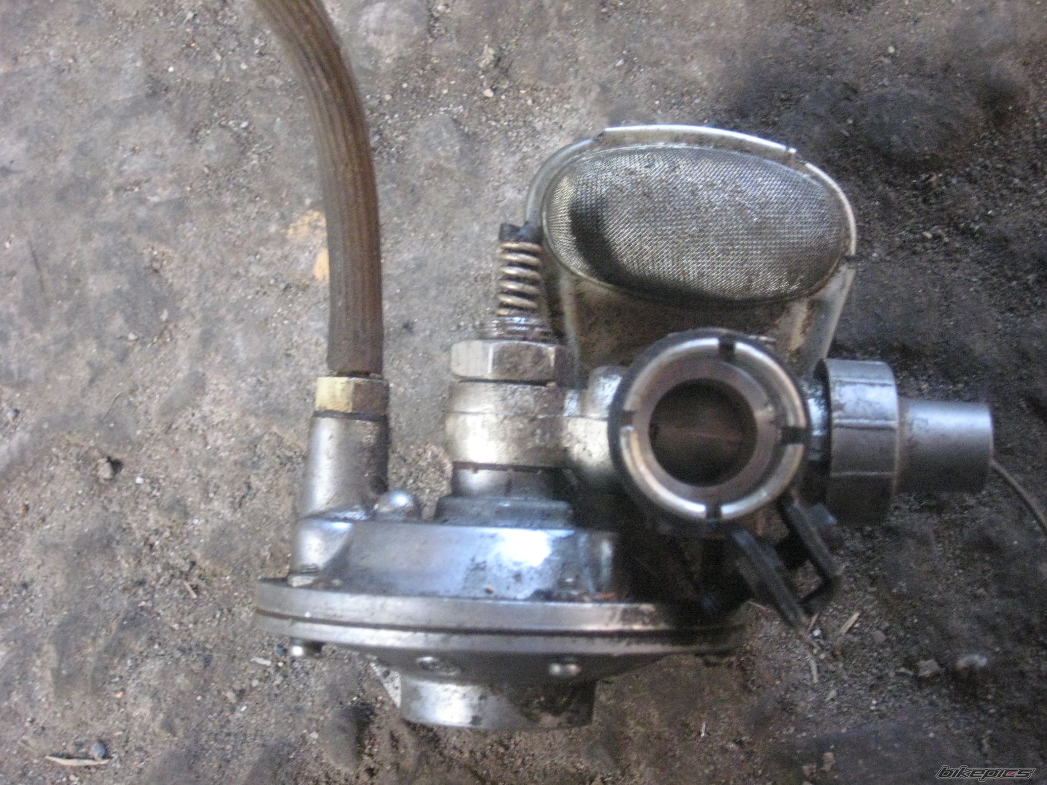 Photo 1246327