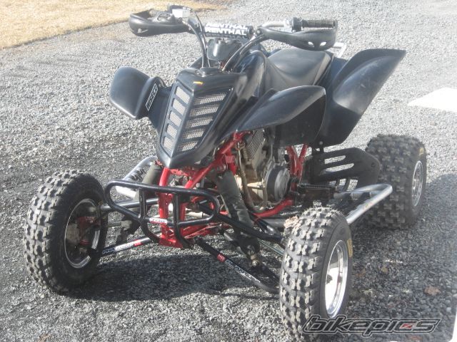 Photo 1246433