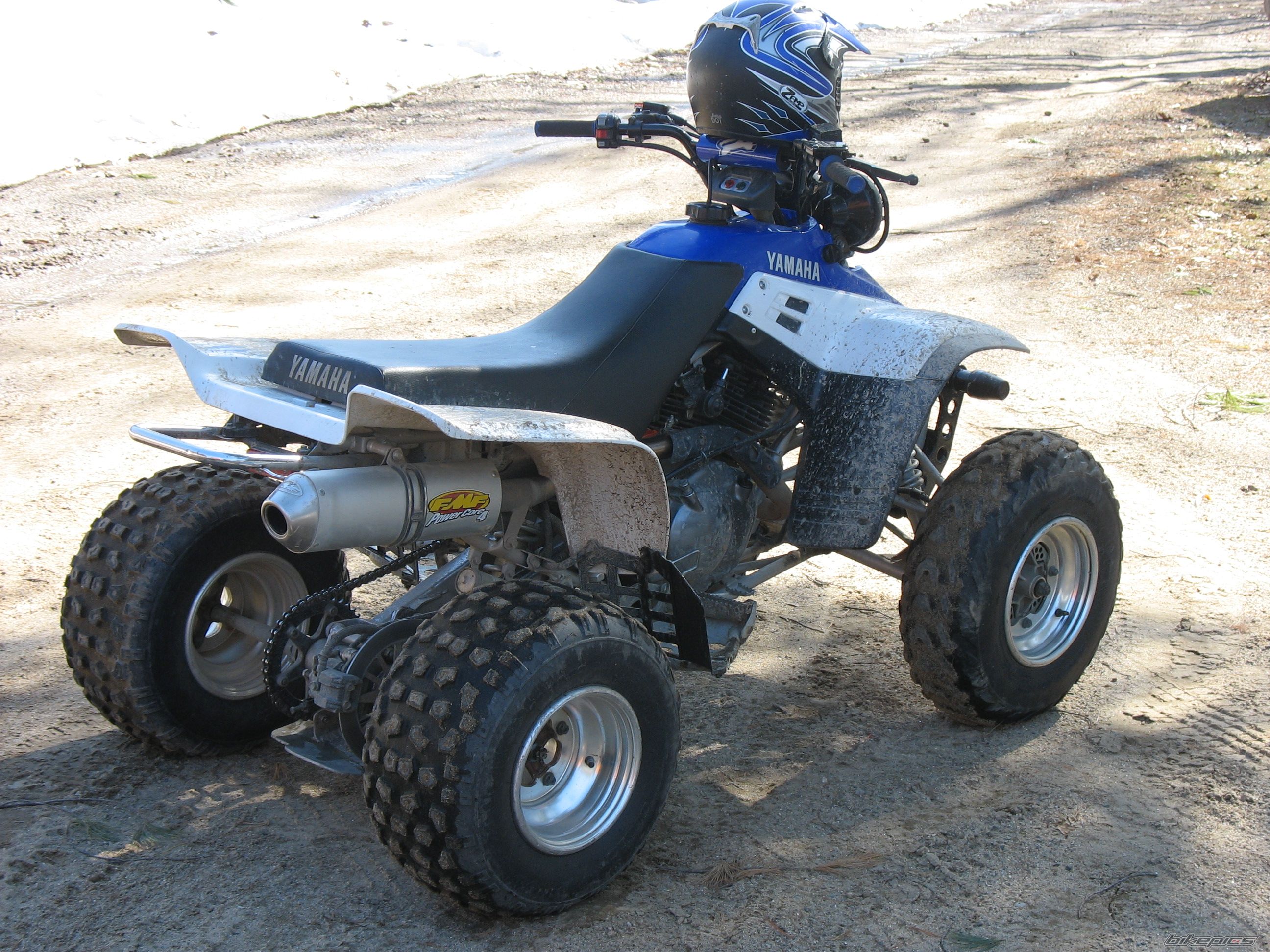 Photo 1246441