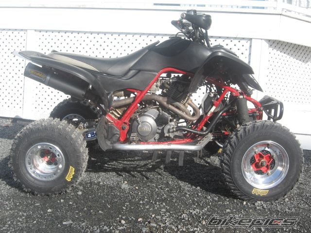 Photo 1246452