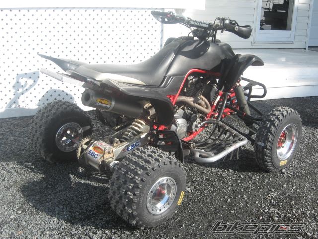 Photo 1246453
