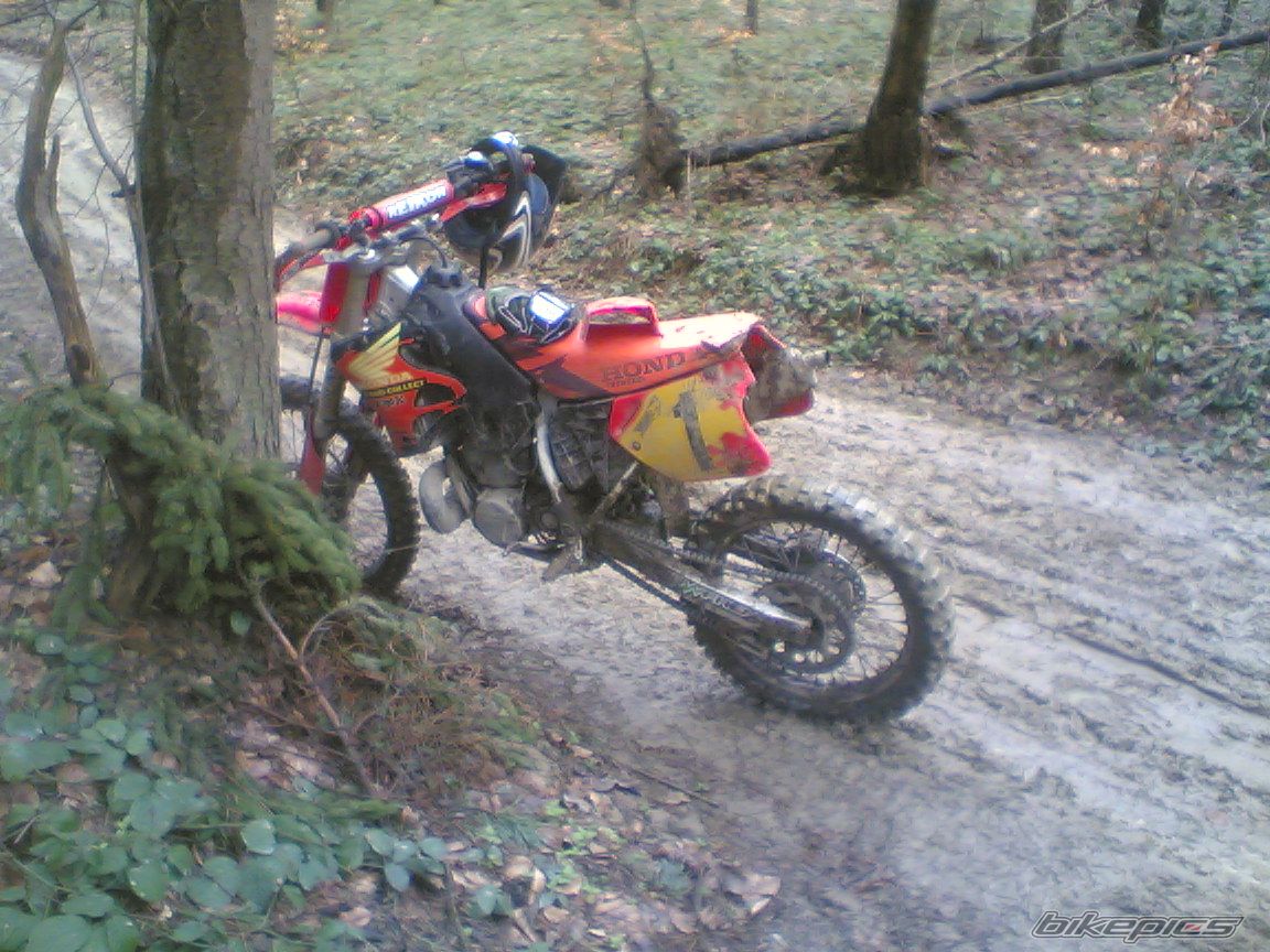 Bike Photo 1246459