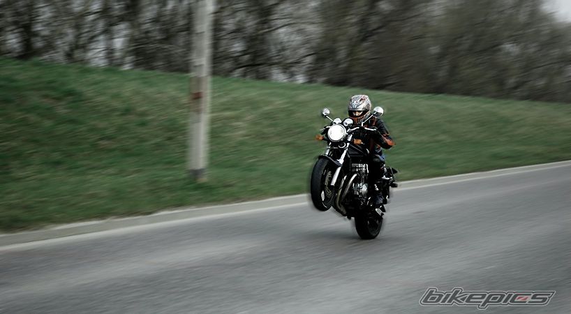Photo 1246468