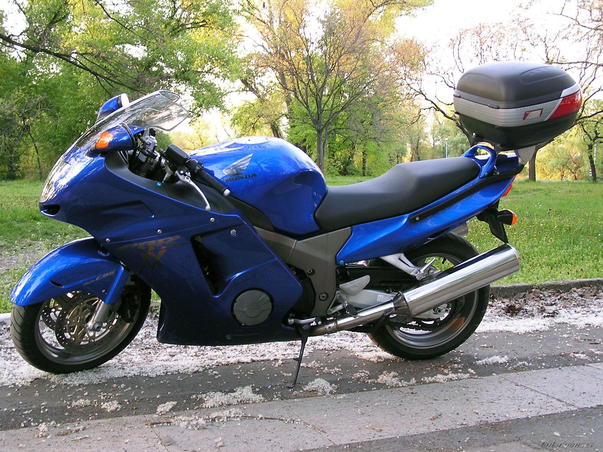 Photo 1246495