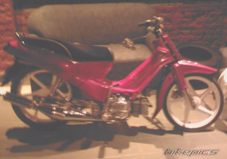 Photo 1246519