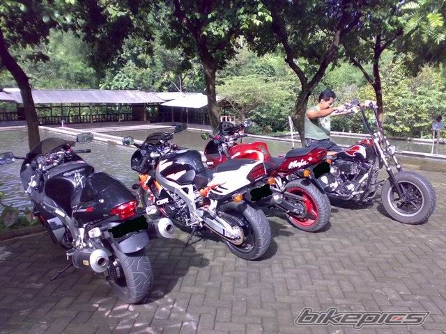 Photo 1246561